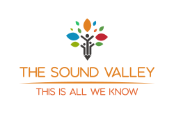 logo THE SOUND VALLEY