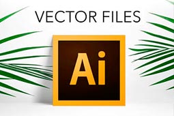 What is a vector file ?