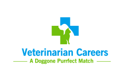 Veterinarian Careers