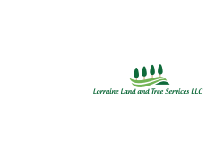 Lorraine Land and Tree Services LLC