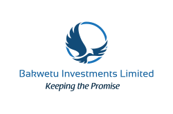 Bakwetu Investments Limited