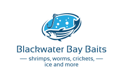 Blackwater Bay Baits