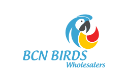 BCN BIRDS