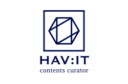 logo HAV:IT