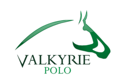 logo VALKYRIE 