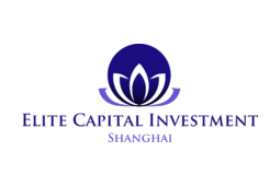 logo Elite Capital Investment