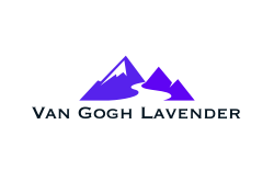 Van Gogh Lavender